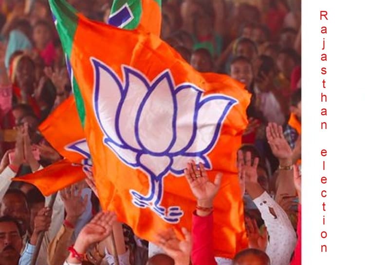 भाजपा चुनाव कार्यालय के पास तीन गायों का शव मिला, राजस्थान की राजनीति में चुनाव से पहले मचा हड़कंप