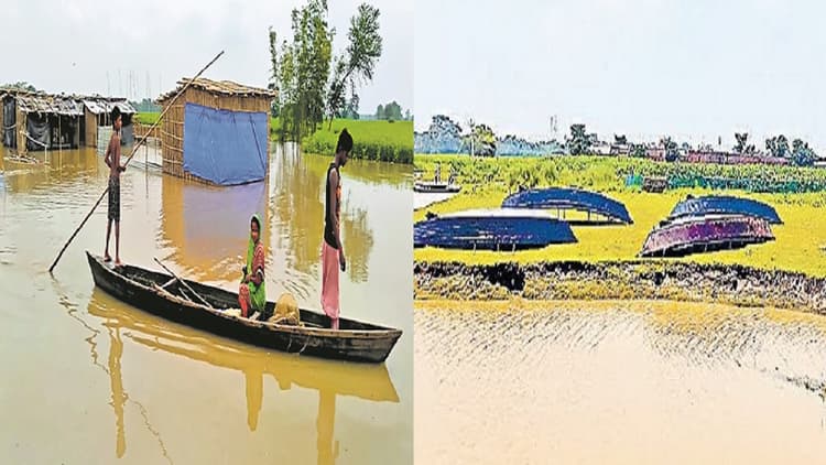 बिहार का एक इलाका ऐसा भी, जहां हर घर में लोग रखते हैं अपना नाव, आवागमन का बनता है जरिया, जानें वजह