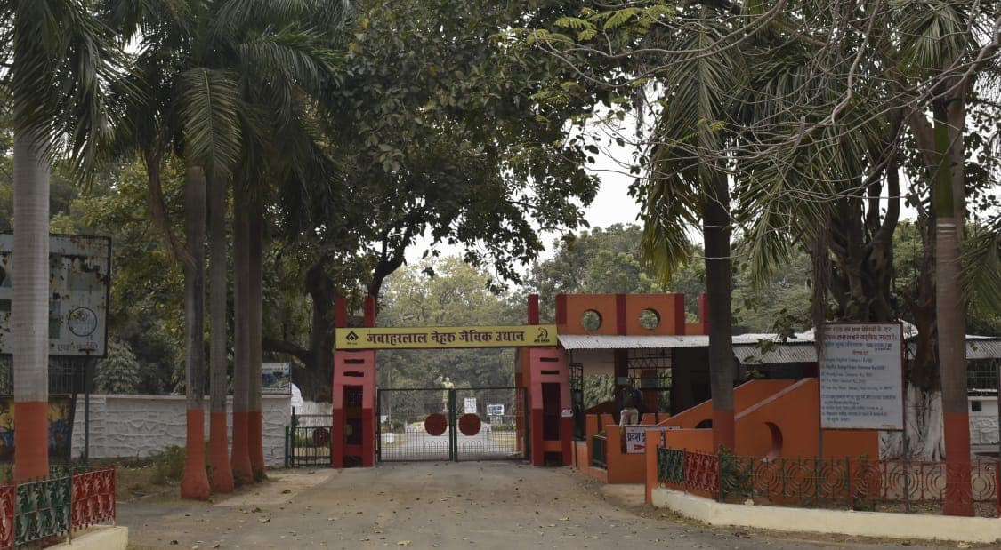 Jharkhand News : बोकारो के जवाहर लाल नेहरू जैविक उद्यान में लौटेगी रौनक, नये लुक में दिखेगा पार्क, पढ़िए क्या है तैयारी Jharkhand News : बोकारो के जवाहर लाल नेहरू जैविक उद्यान में लौटेगी रौनक, नये लुक में दिखेगा पार्क, पढ़िए क्या है तैयारी