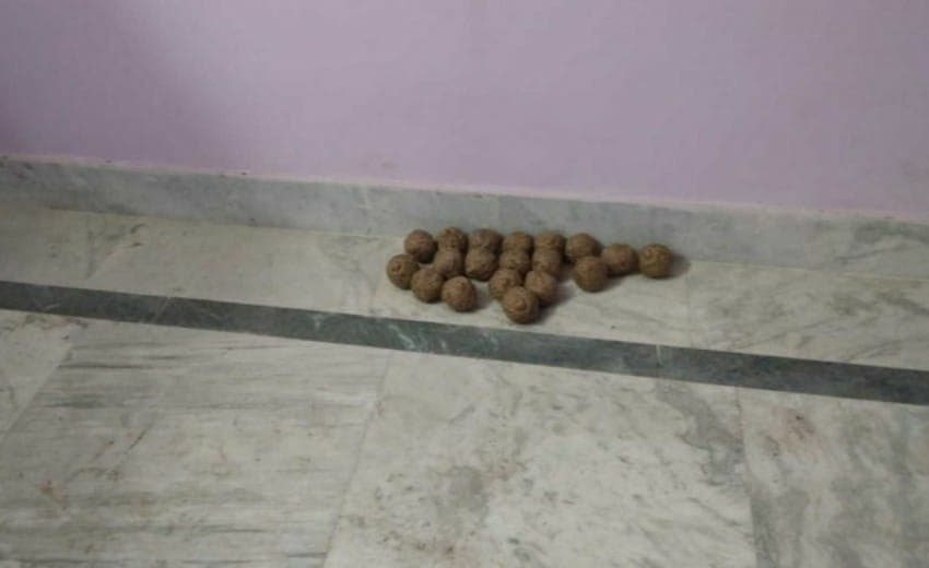 Bengal Chunav 2021: बीरभूम के सरकारी भवन में 50 जिंदा बम मिलने से हड़कंप, तीन गिरफ्तार, जांच में जुटी पुलिस Bengal Chunav 2021: बीरभूम के सरकारी भवन में 50 जिंदा बम मिलने से हड़कंप, तीन गिरफ्तार, जांच में जुटी पुलिस