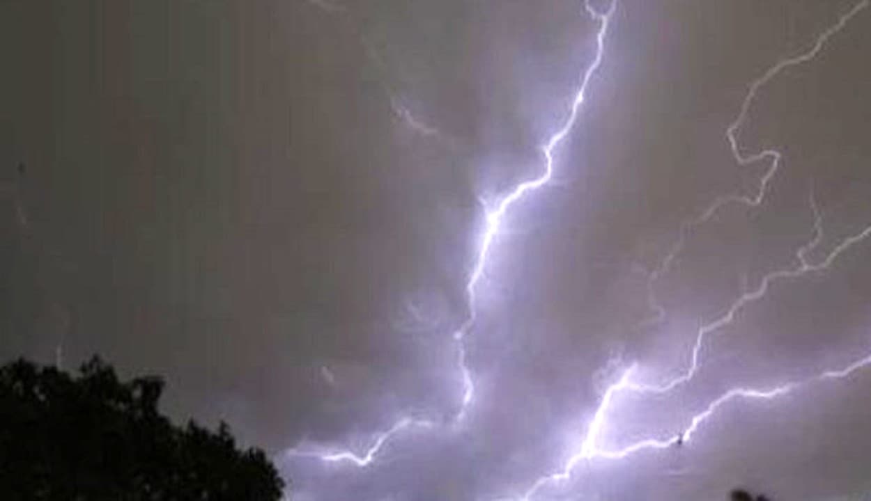 Weather News: ओडिशा में बारिश का कहर, बिजली गिरने से 19 गायों की मौत