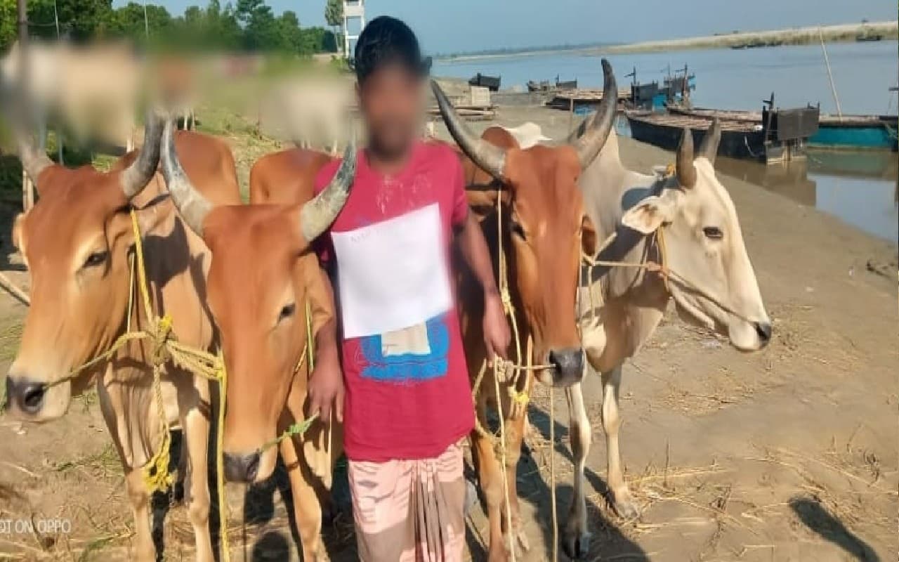 West Bengal: मुर्शिदाबाद बॉर्डर से BSF जवानों ने एक बांग्लादेशी मवेशी तस्कर को किया गिरफ्तार West Bengal: मुर्शिदाबाद बॉर्डर से BSF जवानों ने एक बांग्लादेशी मवेशी तस्कर को किया गिरफ्तार