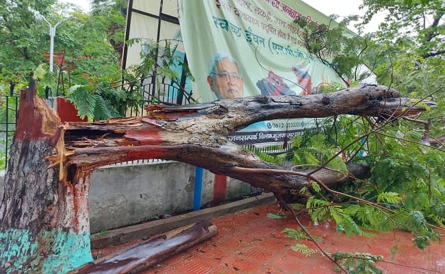 Muzaffarpur Weather News: मुजफ्फरपुर में तूफान का कहर, 36 घंटे से लगातार बारिश जारी, बिजली गुल होने से गहराया संकट