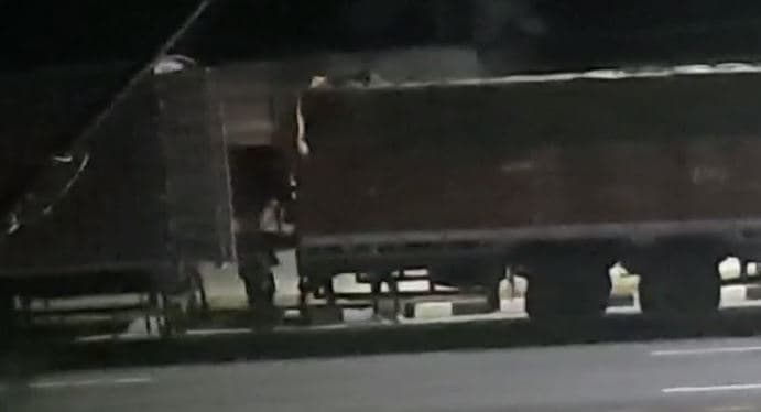 धनबाद में जमकर हो रही पशु तस्करी, हर दिन ले जाया जा रहा पश्चिम बंगाल, स्थानीय लोग उठा रहे प्रशासन पर सवाल