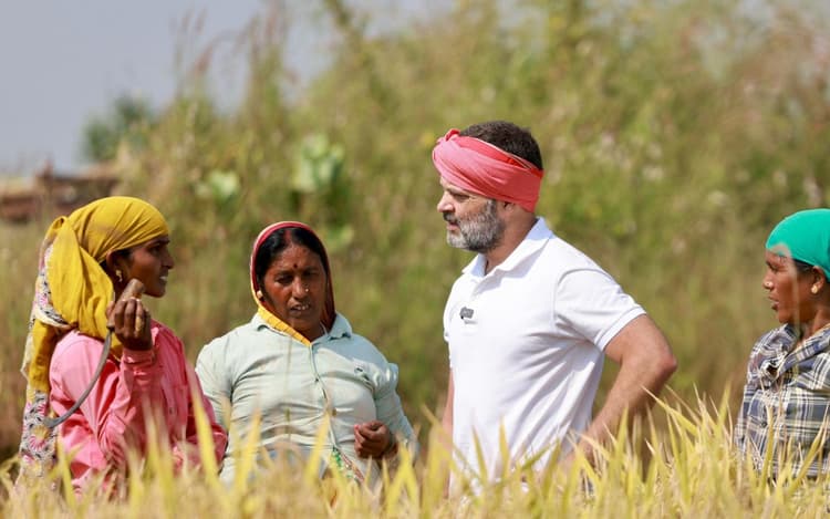 छत्तीसगढ़ में किसान बने राहुल गांधी, रायपुर के कठिया गांव में की धनकटनी, देखें PHOTOS