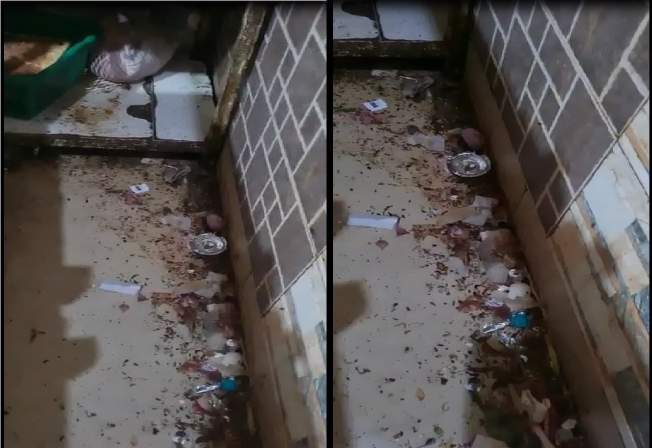 पटना के P&M Mall में सेहत से खिलवाड़, गुलाब जामुन में मरे मिले कॉकरोच, छापेमारी के बाद 22 दुकानें बंद