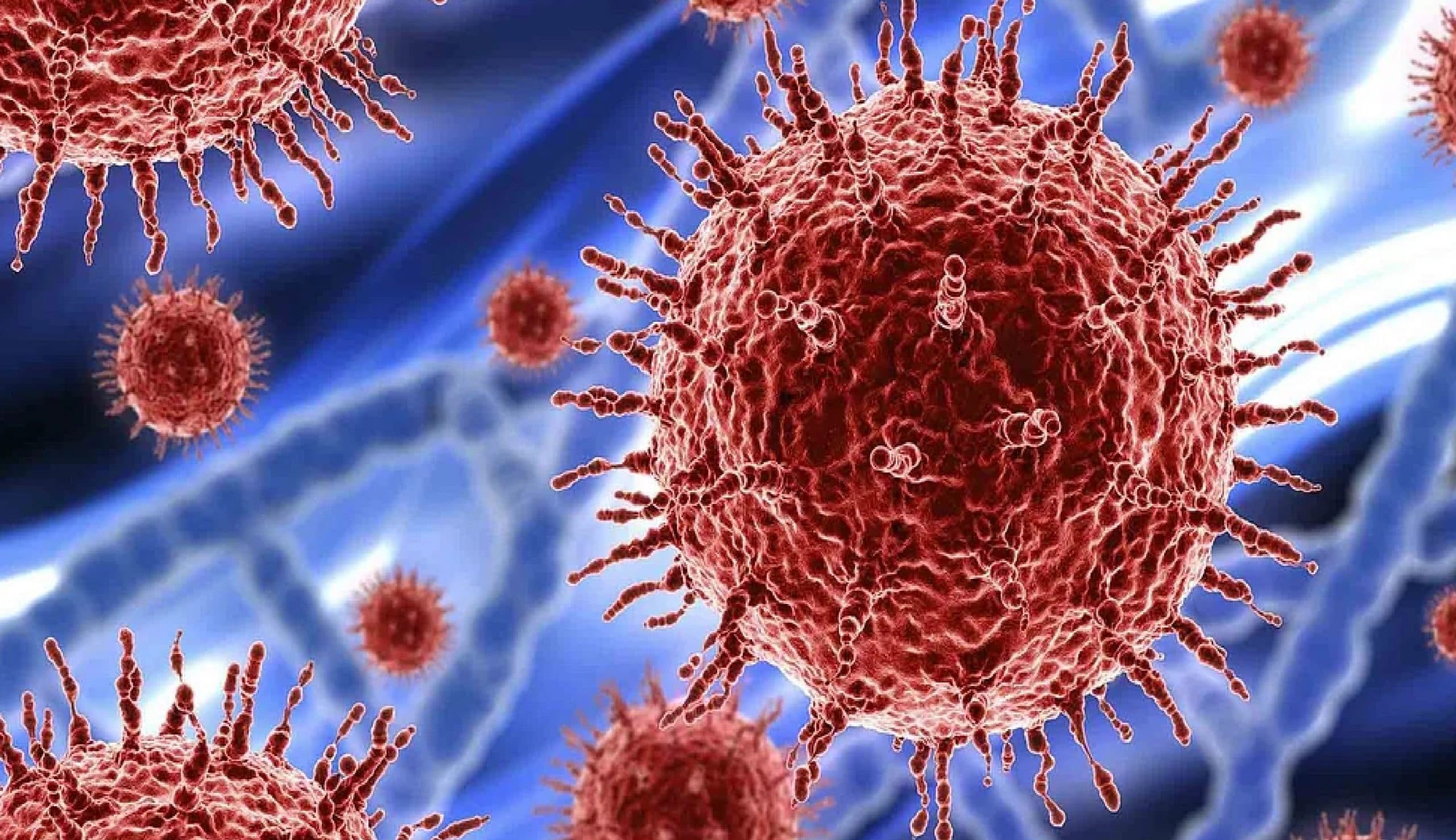 महाराष्ट्र में बढ़ रहे हैं कोरोना संक्रमण के मामले, पढ़ें तीन महीनों में क्या रही है स्थिति