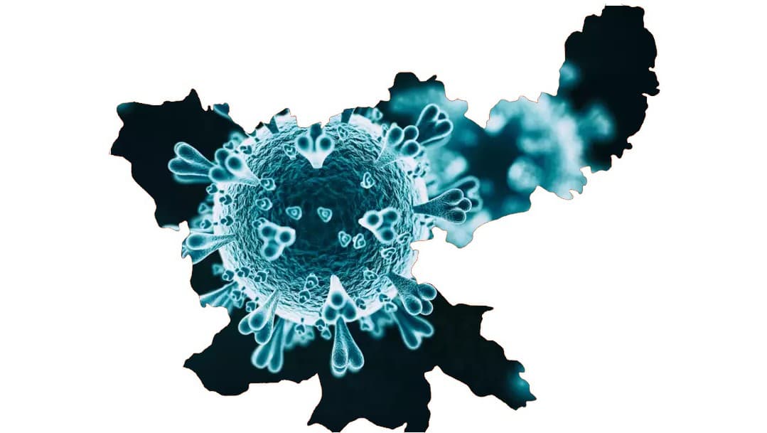Coronavirus Update: सीएम आवास में 40 कर्मचारी पॉजिटिव, पिछले 24 घंटे में पूरे झारखंड में 1030 संक्रमित मिले Coronavirus Update: सीएम आवास में 40 कर्मचारी पॉजिटिव, पिछले 24 घंटे में पूरे झारखंड में 1030 संक्रमित मिले