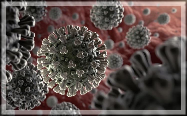 Covid-19 Update: भारत में बढ़ रहा कोरोना वायरस संक्रमण, पिछले 24 घंटों में 3000 से ज्यादा मामले दर्ज