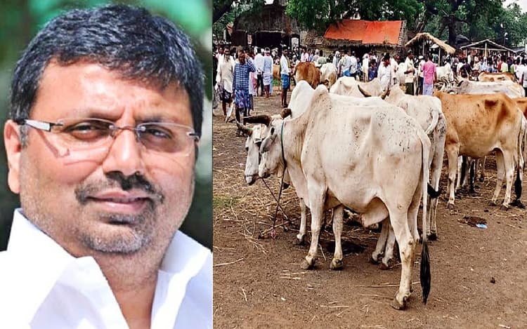 बक्सर से कोलकाता व गिरिडीह के बूचड़खानों तक पशु सप्लाई, जगदीशपुर बन रहा अवैध पशु कारोबार का बड़ा केंद्र