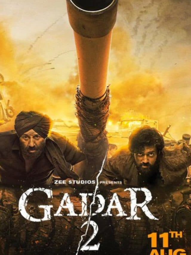 इन 8 इंडियन फिल्मों पर पाकिस्तान में लगी हैं बैन, लिस्ट में शाहरुख खान से लेकर सनी देओल की मूवी है शामिल