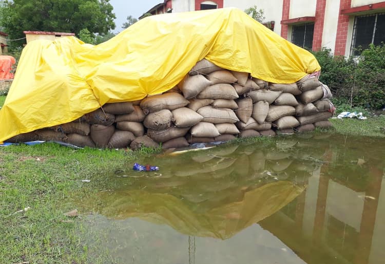 झारखंड के बोकारो व पलामू के बाद चतरा में FCI की लापरवाही, बारिश में सड़ रहा खुले में रखा 2000 बोरा धान