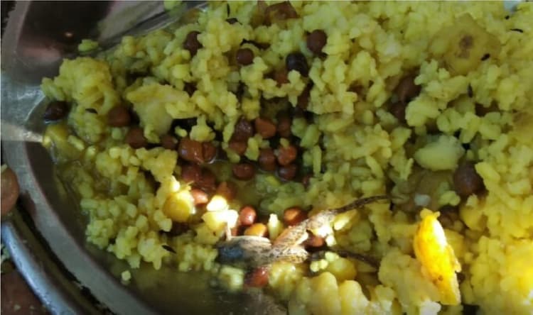 मधुबनी में मिड डे मील में खिचड़ी के साथ मिला मेंढक, ग्रामीणों ने जमकर किया हंगामा, डीपीओ करेंगे जांच