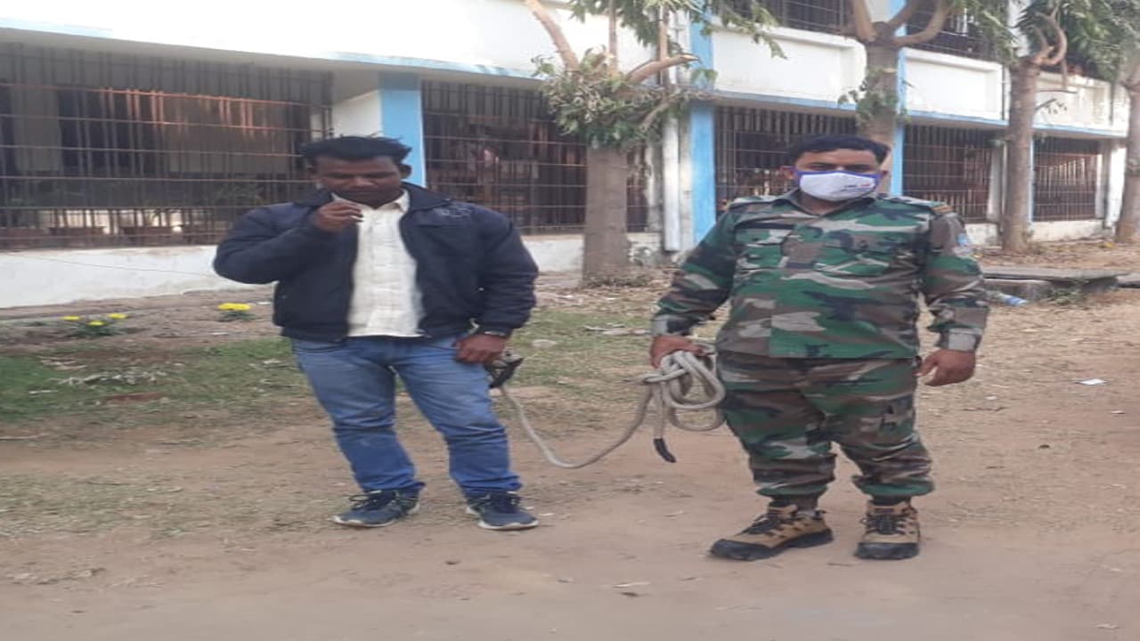 Jharkhand Crime News : लव जिहाद का शिकार होने से बची दुमका की युवती, देवघर के आरोपी को पकड़ ग्रामीणों ने किया पुलिस के हवाले Jharkhand Crime News : लव जिहाद का शिकार होने से बची दुमका की युवती, देवघर के आरोपी को पकड़ ग्रामीणों ने किया पुलिस के हवाले