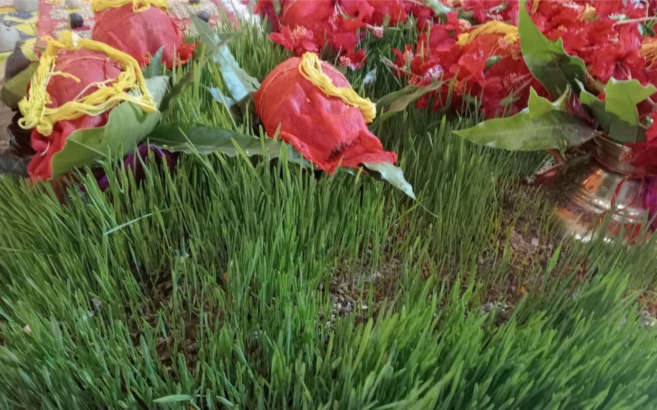 EXCLUSIVE: दुर्गा पूजा के कलश की ‘जयंती’ को न करें बर्बाद, असाध्य रोगों की है अचूक दवा