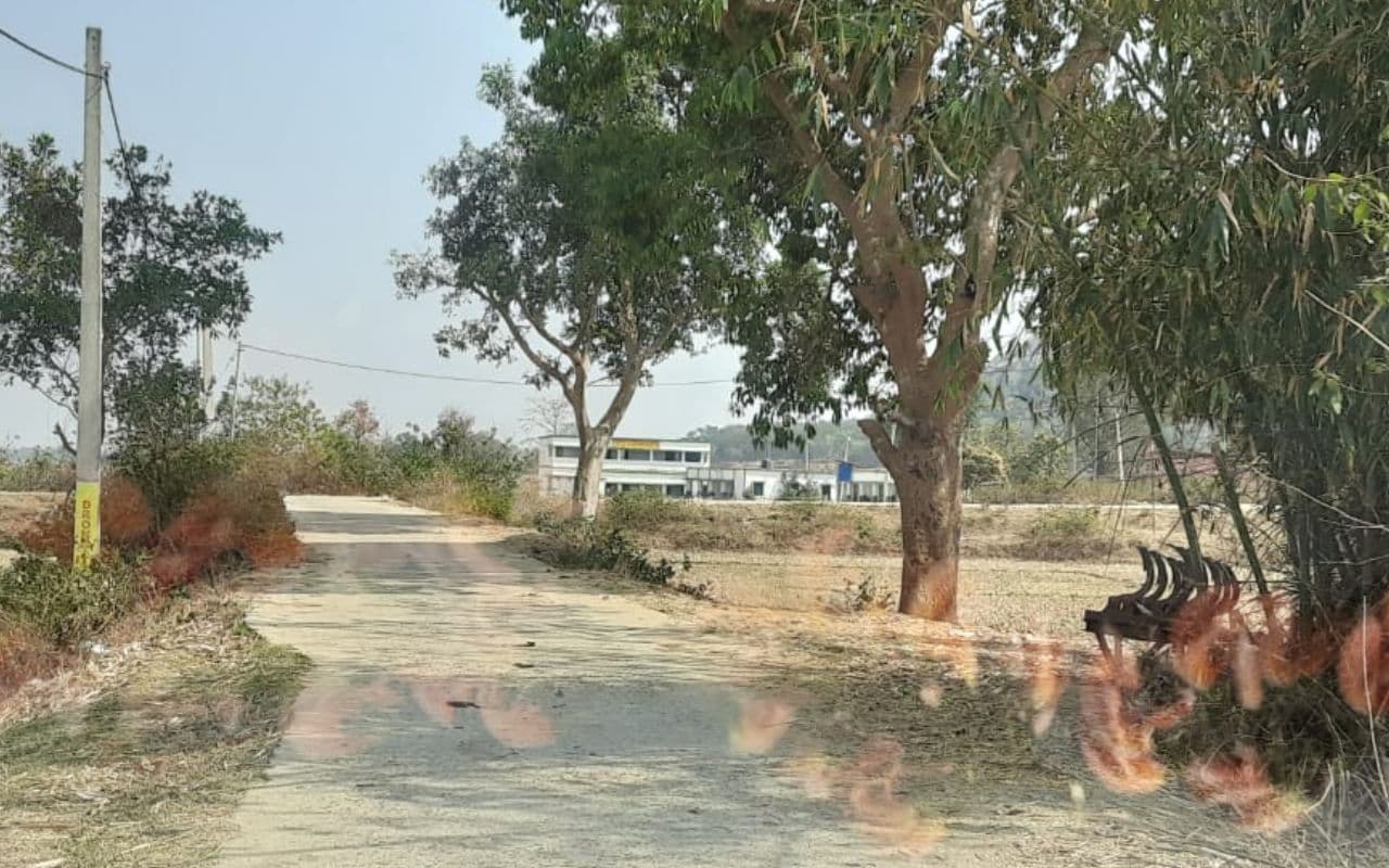 झारखंड के इस गांव में होली खेलने से होती है अनहोनी, बाबा वडराव को पसंद नहीं है रंग