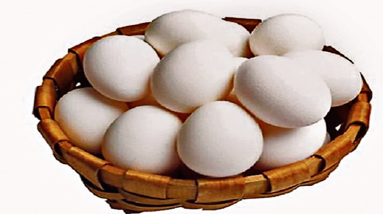 Jharkhand News : MDM рд░рд┐рдкреЛрд░реНрдЯ рдЬрдорд╛ рдирд╣реАрдВ рдХрд░рдиреЗ рдкрд░ 28 рд╕реНрдХреВрд▓реЛрдВ рдХреЗ рд╣реЗрдбрдорд╛рд╕реНрдЯрд░ рдХреЛ рд╢реЛ рдХреЙрдЬ, BEEO рдиреЗ рдХреА рдХрд╛рд░реНрд░рд╡рд╛рдИ