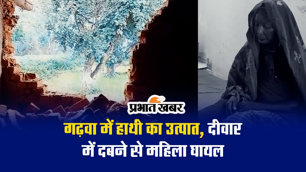 झारखंड के खरसावां में काम कर घर लौट रहे युवक को हाथी ने पटक-पटक कर मार डाला, इलाके में दहशत