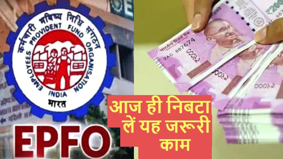 EPFO से जुड़ा यह जरूरी काम अगर नहीं करेंगे आप, तो अटक जाएगा PF का पैसा, जानें अप्लाई करने का आसान तरीका EPFO से जुड़ा यह जरूरी काम अगर नहीं करेंगे आप, तो अटक जाएगा PF का पैसा, जानें अप्लाई करने का आसान तरीका