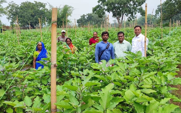 झारखंड के किसान ने YouTube से सीखी नयी तकनीक, बंजर जमीन को बनाया उपजाऊ, अब रोजाना कमा रहे 5-6 हजार रुपये
