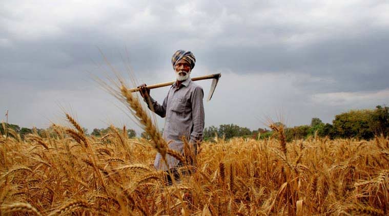 धान के भुगतान के लिए चक्कर लगा रहे किसान