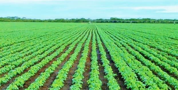 आर्गेनिक फॉर्मिंग अथॉरिटी ऑफ झारखंड के कार्यों की होगी जांच, बिना टेंडर के 54 करोड़ का काम देने का है आरोप