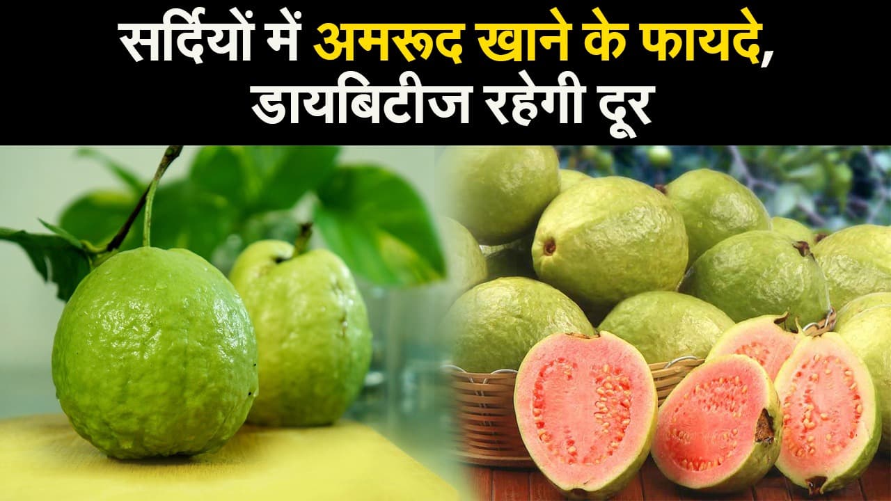 Health Tips: सर्दियों में अमरूद के कई फायदे, डायबिटीज और एनीमिया से बचाव, यहां देखिए फायदे