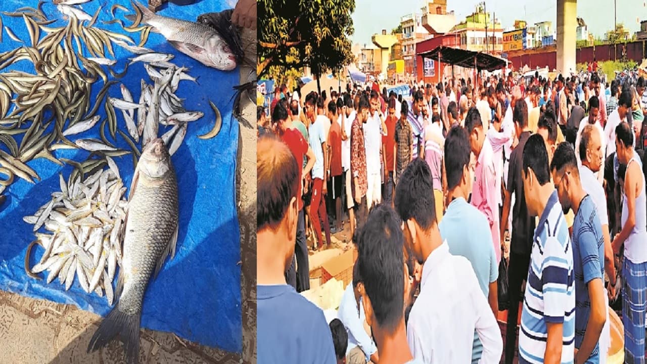 एक दिन में करोड़ों की मीट-मछली खा गए बिहार के लोग, सावन खत्म हुआ तो बाजार में उमड़ी रिकॉर्ड भीड़..