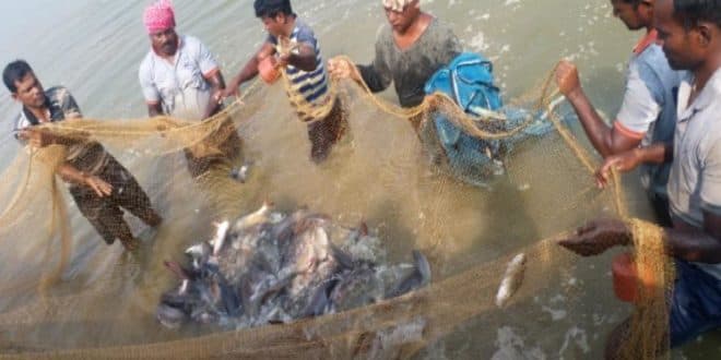 Seafood: निर्यात कैसे बढ़े विशेषज्ञ करेंगे मंथन