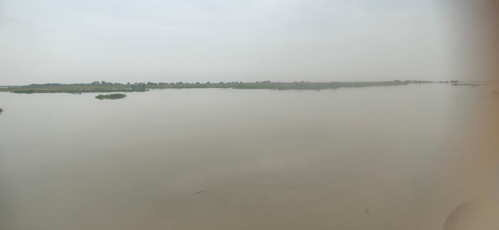 Jharkhand News: लातेहार में बलबल नदी पार करने के दौरान तीन लोग बहे, दर्जनों बकरियां बहीं, बाल-बाल बचे चार लोग