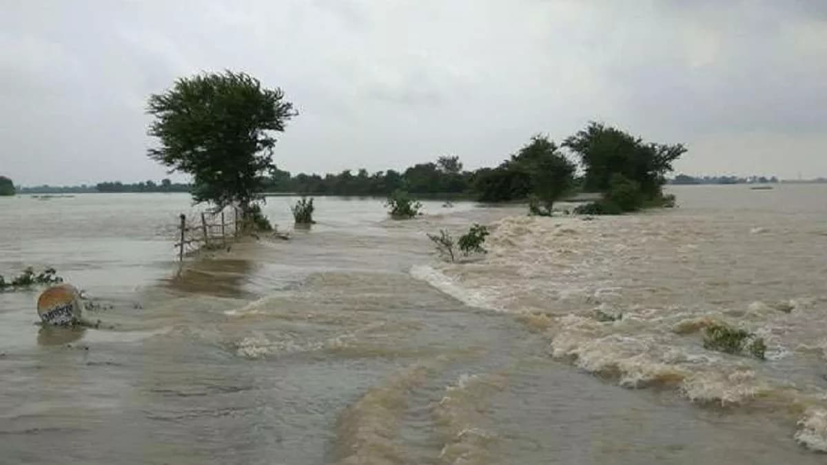 Flood in Bihar : рдиреАрдЪреЗ рдирд╣реАрдВ рдЙрддрд░ рд░рд╣рд╛ рдЬрд▓рд╕реНрддрд░, рдлрд┐рд▓рд╣рд╛рд▓ рд░рд╛рд╣рдд рдирд╣реАрдВ, рдЬрд╛рдиреЗрдВ рдХреМрди рд╕реА рдирджреА рд╕реЗ рдХреМрди рд╕рд╛ рдЗрд▓рд╛рдХрд╛ рд╣реИ рдкреНрд░рднрд╛рд╡рд┐рдд