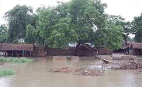 Flood in Bihar : दरभंगा में डूब गयी हजारों एकड़ में लगी धान की फसल, नये इलाकों में फैला पानी