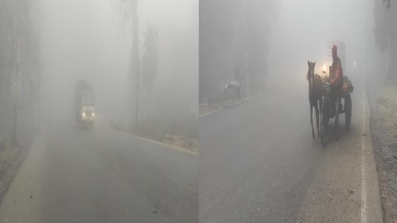 Bihar Weather: भागलपुर का पारा@ 4.5 डिग्री, आसपास के जिलों में भी कनकनी व कोहरा, इस दिन से घटेगी ठंड...