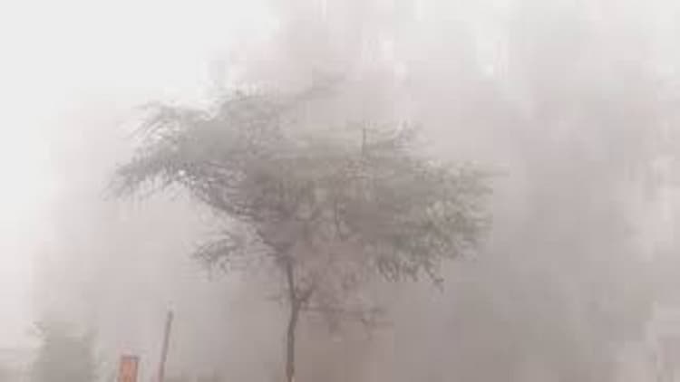 Weather Forecast: कश्मीर में शीतलहर तेज, इन राज्यों में बारिश के आसार, जानें अपने राज्य के मौसम का हाल