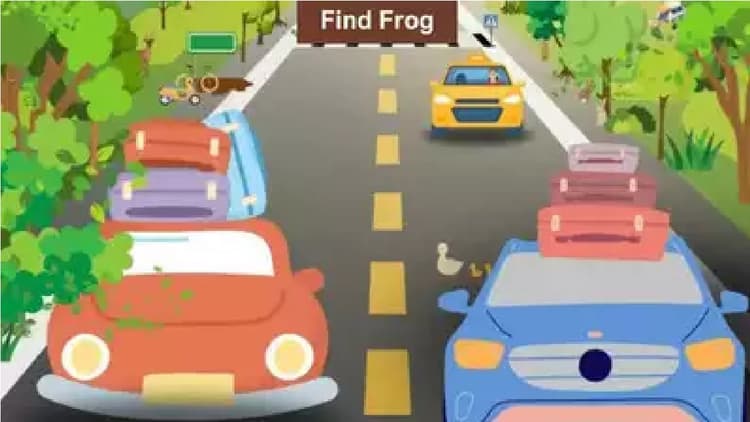 हाईवे पर फ्रॉग है, 30 सेकेंड में खोजकर दिखाएं, तब मानेंगे आपको जीनियस