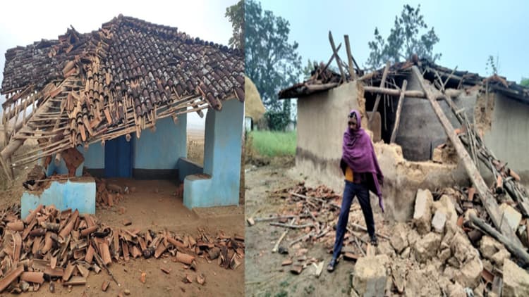 अनाज की खोज में हाथी ने गढ़वा में तीन घरों को तोड़ा, गेंहू की खड़ी फसल को रौंदकर किया बर्बाद