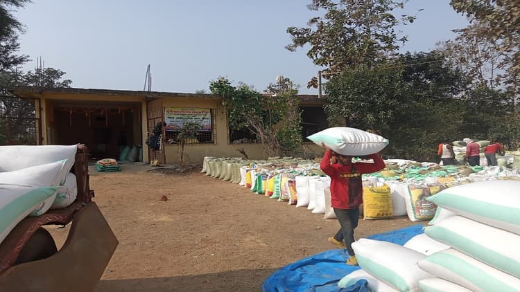 Jharkhand News: उद्घाटन के 13 दिन बाद भी शुरू नहीं हुयी धान की खरीदारी, बिचौलिये हावी