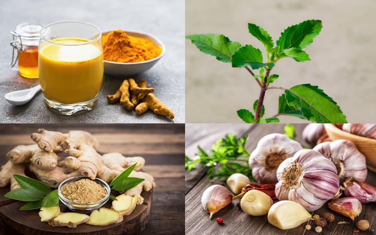 सर्दी-खांसी से बचने के लिए सर्दियों में सेवन करें ये 7 फूड्स, बॉडी रहेगी गर्म