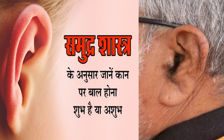 Hair on Ears: कान में बाल होने के क्या हैं संकेत, ऐसे लोग के बारे में जानकर हो जाएंगे हैरान