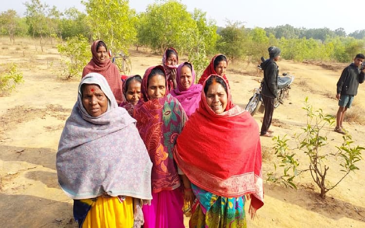 Giridih News: देवरी में पेड़ पर झूलता मिला युवक का शव, परिजनों ने जताई हत्या की आशंका