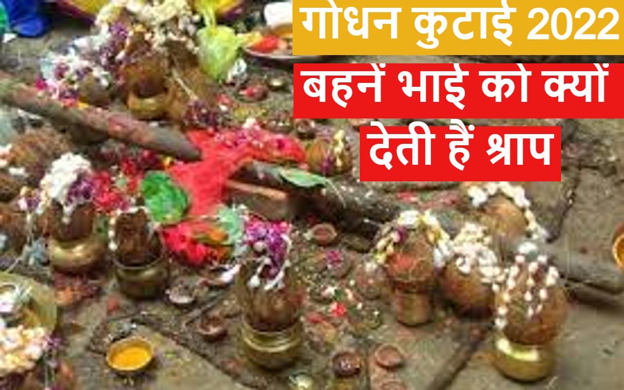 Bhai Dooj 2022: गोधन कुटाई में बहनें भाई को श्राप देती हैं, फिर जीभ में चुभाती हैं रेंगनी का कांटा