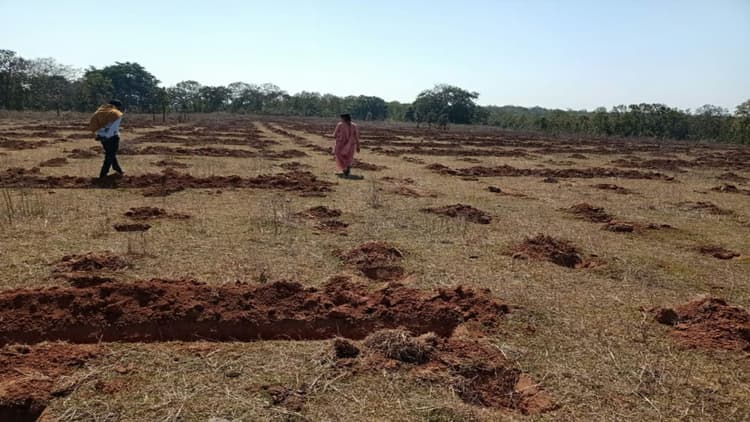 Jharkhand news: गुमला के दौना गांव में जल्द दिखेगी हरियाली, खाली पड़े जमीन पर लगेंगे 75 हजार पौधे