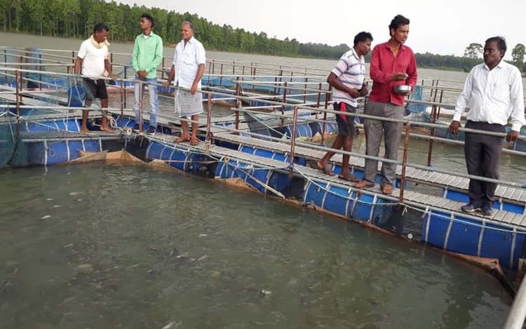 Prabhat Khabar Special: हजारीबाग की मछली की दूसरे राज्यों में बढ़ी मांग, 7000 लोगों को मिला रोजगार