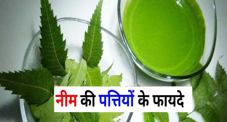 Benefits of Neem: नीम में पाये जाने वाला तत्व कैंसर के खिलाफ कारगर