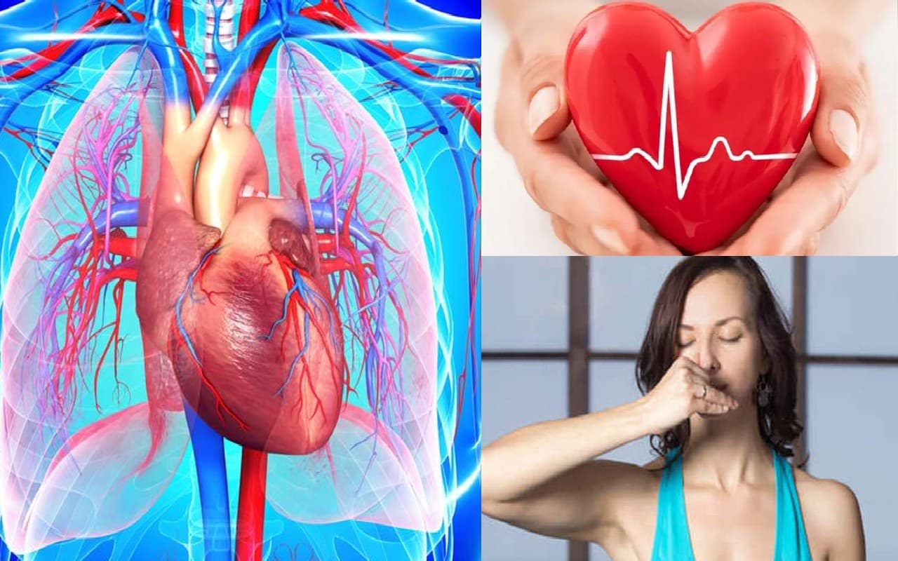 Heart Disease: रोजाना योग करने से हृदय संबधित रोग रहेगा दूर, जानें कब इसकी चपेट में आते हैं आप