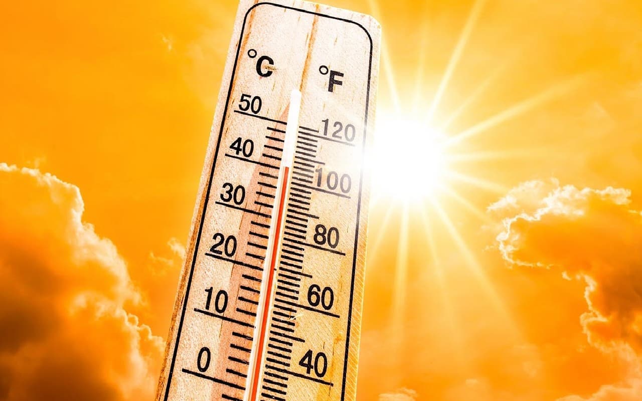 Heat Wave: पलामू में तीन दिनों से लापता शख्स का शव पुल के नीचे मिला, भीषण गर्मी व लू ने ले ली जान