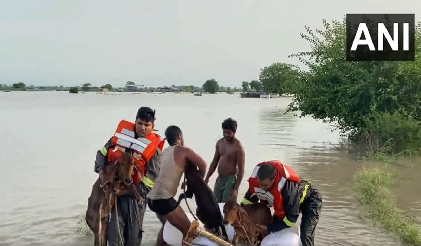 Explainer: हथिनी कुंड बैराज आखिर क्यों बनता है दिल्ली में बाढ़ की वजह?