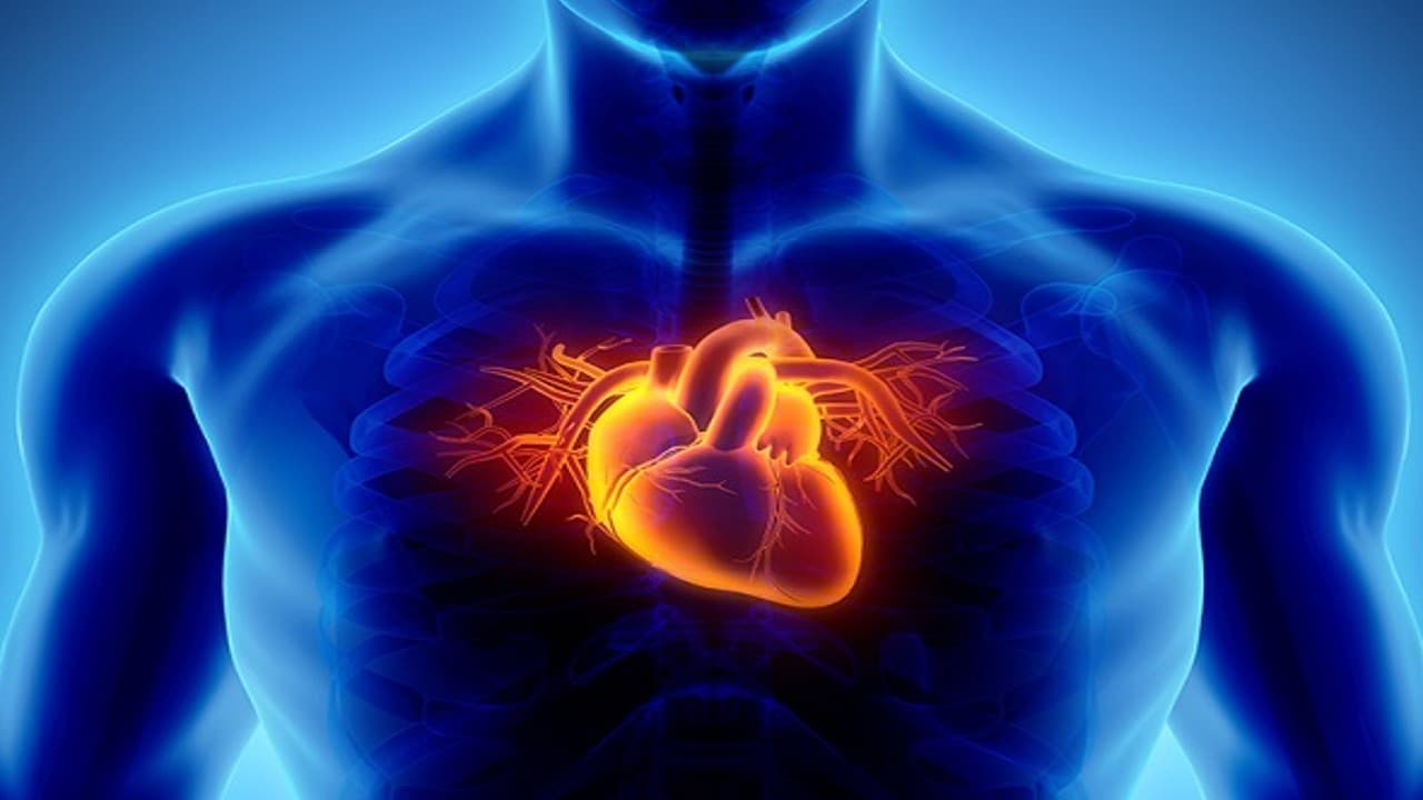 मानव जीनोम को बदलने से मिल सकता है हृदय रोग से छुटकारा