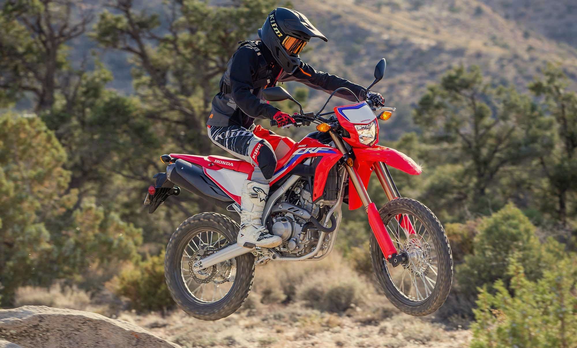 Honda CRF300L बाइक जल्द होगी लॉन्च, ऑफ-रोडिंग लवर्स को आएगी काफी पसंद
