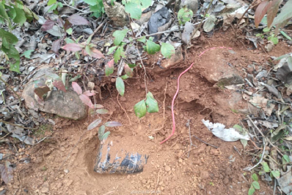 Jharkhand Naxal News: झारखंड में सर्च ऑपरेशन के दौरान हुआ धमाका, 1 जवान घायल, 10 IED विस्फोटक बरामद